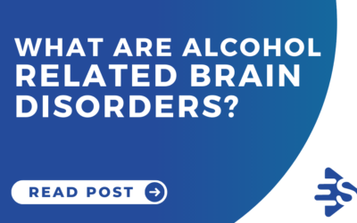 What are alcohol related brain disorders?