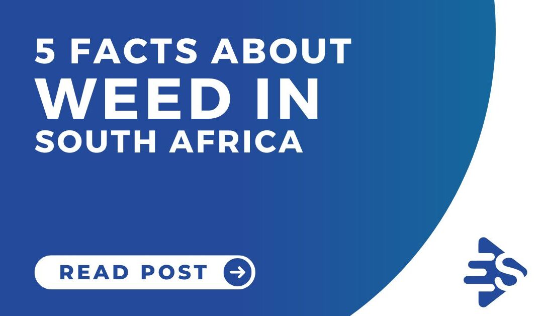 Weed in South Africa & 5 Interesting Facts We Bet You Didn’t Know