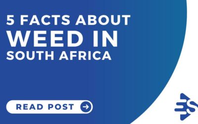 Weed in South Africa & 5 Interesting Facts We Bet You Didn’t Know