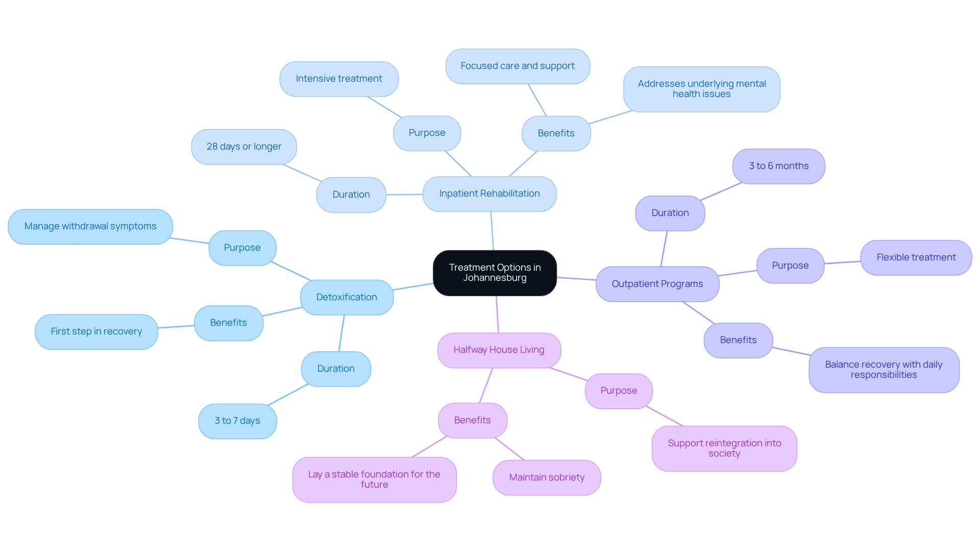The center represents the main topic of treatment options. Each branch leads to a specific type of treatment, and the sub-branches provide more details about what each option entails. This visual helps understand how different pathways can support recovery.
